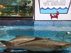 -旺豪阳光超市(友谊阳光城店)