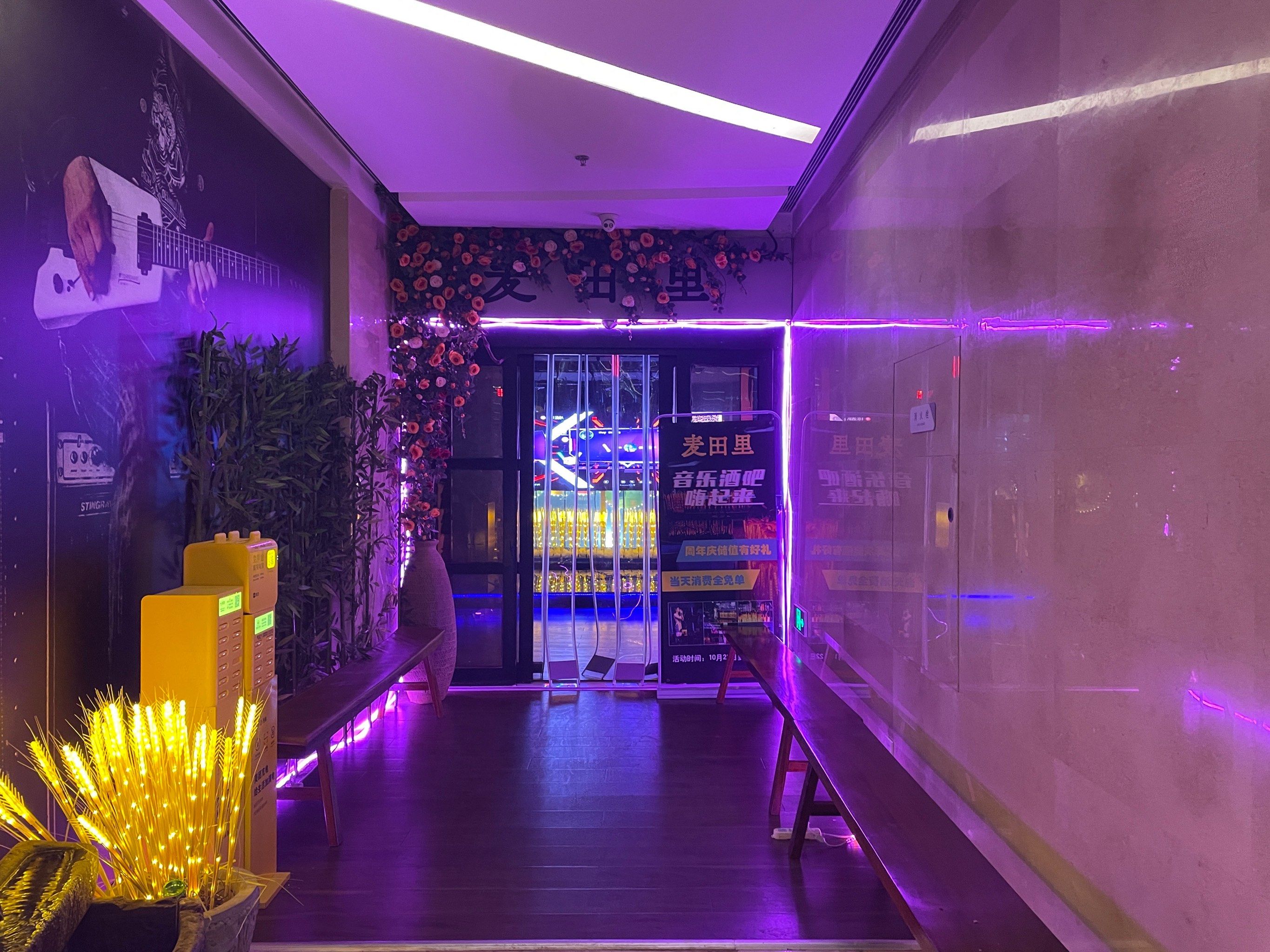 到麦田里酒吧嗨起来