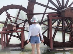 -北京东方普罗旺斯薰衣草庄园