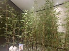 -同湘会馆(粤垦路店)