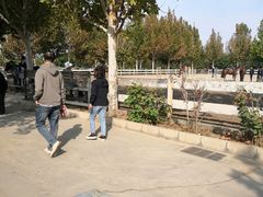 -北京群众马术培训基地