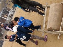 -千年银杏谷文化旅游区