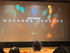 -华美国际影城(旧宫永辉店)