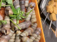 -柿子树炭烤羊腿(金台路店)
