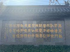 -桃花堤公园