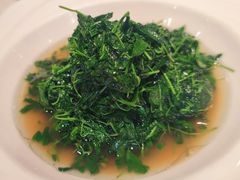 -新雅粤菜馆(南京东路店)