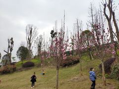 -枫香湖儿童公园