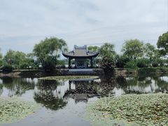 -无锡蠡湖国家湿地公园-蠡园