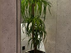 -顺风123(观音桥大融城店)