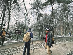 -紫金山山顶公园