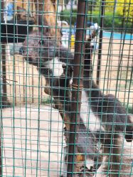 -萌宠亲子动物乐园(槐房万达店)