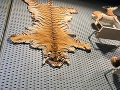 -浙江自然博物院(杭州馆)