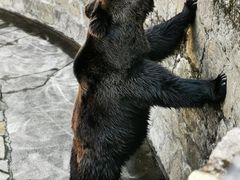 -上海动物园(地铁站)