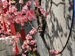 -呷哺呷哺 小火锅 (浦东新欧尚超市店)