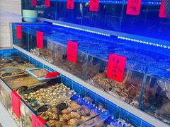 -金海湾海鲜排档(朱家尖店)