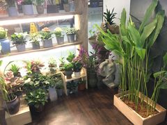 -十二舍·湯物素煮(江泰潤政店)