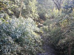 -法云安缦酒店