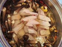 -千岛蚝高压锅生蚝·人参火锅(白云万达店)