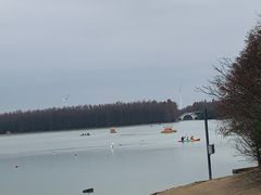 -上海海湾国家森林公园