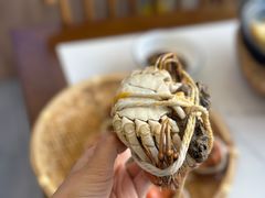 -蟹天蟹地农家菜·阳澄湖大闸蟹(浅水湾店)