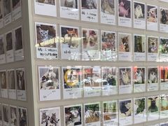 -御宝贝24h宠物医院·转诊中心·CT核磁血透中心(厦门总院)