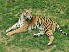 -北京野生动物园