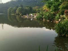 -深圳仙湖植物园-停车场