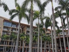 -亚龙湾红树林度假酒店-韩轩韩餐厅