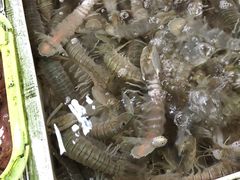 -大湾区中央湿地公园-十九涌