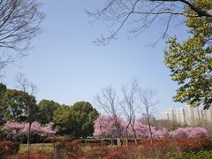 -白塘生态植物园