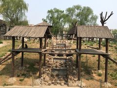 -石家庄市动物园