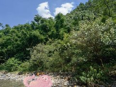 -紫云谷景区