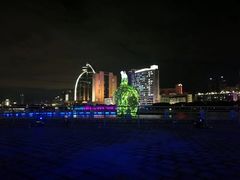 灯光秀-白鹭洲公园