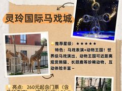-灵玲国际马戏城