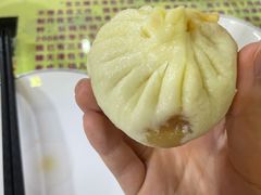 传统猪肉包-宝正臻天津包子总店(金阳光居易店)