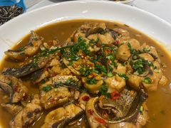 -全乐鱼馆·淳牌有机鱼直营店