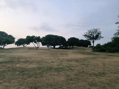 -红花山公园