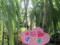 -聚福宝合苑食府(南头镇店)