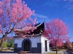 -和顺古镇