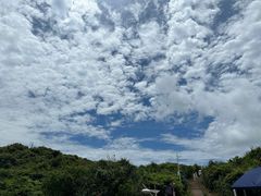 -西涌国际滨海旅游区