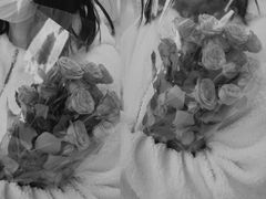 -循礼门鲜花花市(武汉循礼门店)