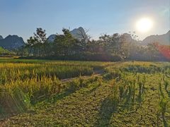 -靖西鹅泉风景区