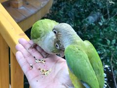 景点-南宫五洲植物乐园