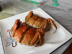 -呼吸森林·生态农庄农家乐私房菜