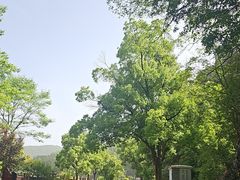 -滴水洞景区