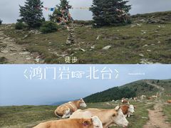 -五台山风景区