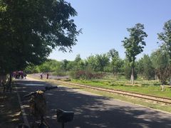 -永定河休闲森林公园