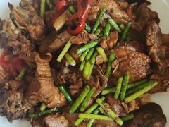 -凤百年大骨鸡饭庄
