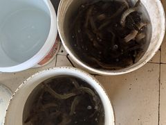 -特色东香泥鳅面螺丝面(金马小区店)