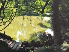 -绮园景区
